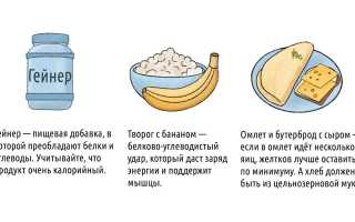 Питание перед тренировкой и после для набора массы: научный подход