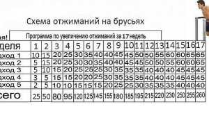 Схема отжиманий на брусьях и чем можно их заменить