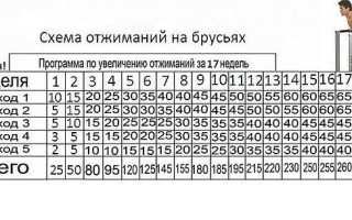 Схема отжиманий на брусьях и чем можно их заменить