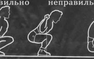Приседания со штангой: техника выполнения