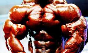 Практикум: Набираем качественную массу с помощью дизайнерских стероидов (Часть 1)