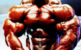 Практикум: Набираем качественную массу с помощью дизайнерских стероидов (Часть 1)