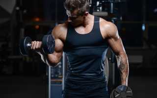 Упражнения на бицепс в тренажерном зале – самые эффективные упражнения для мужчин