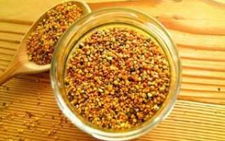 Полезные свойства пчелиной пыльцы: как её принимать