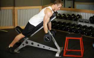 Упражнения на бицепс с гантелями в домашних условиях и тренажёрном зале – лучшие варианты подъёмов и сгибаний