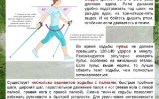Скандинавская ходьба с палкой для пожилых — способ поправить здоровье