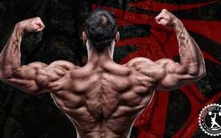 Упражнения для ротаторной манжеты плеча