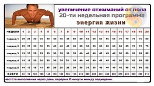 20-ти недельная прогрма 