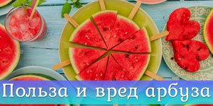 Арбуз с черным хлебом польза и вред