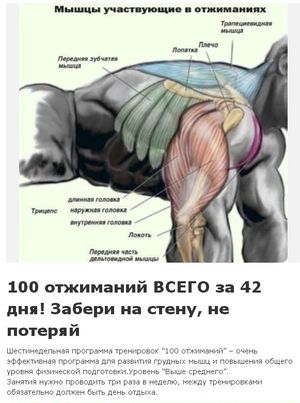 Часто задаваемые вопросы