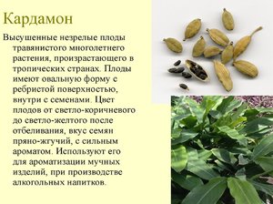 Чай с кардамоном 