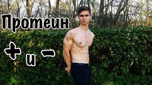 Как действует протеин