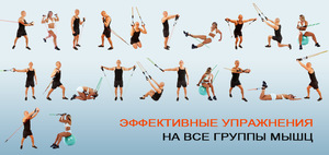 Эспандеры для тренировок