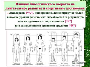 Факторы влияющие на состояние организма