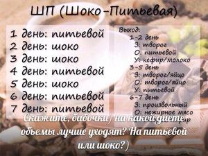 Можно ли на этой диете похудеть Как худеть на шоко диете