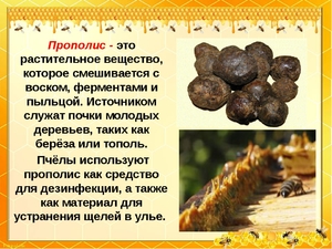 Как использовать прополис