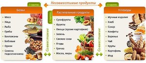Какие продукты содержат углеводы