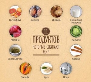 Какие продукты способствуют сжиганию жира