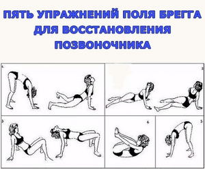 Какие упражнения помогут развить спину