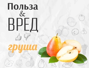 Какими свойствами обладает груша