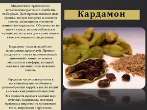 Кардамон польза и вред