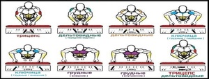 Комплекс упражнений