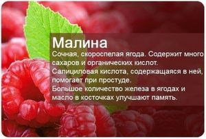 Малина с молоком, польза и вред