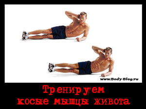 Накачивание косых мышц живота