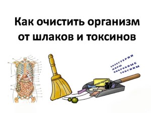 Очищение организма от шлаков 