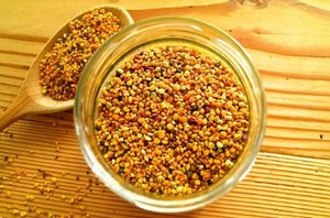 пчелиная пыльца польза и вред