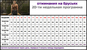Как питаться перед тренировками