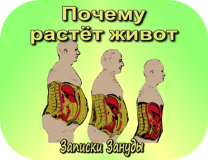 Как питаться правильно