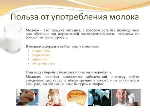 Полезен ли чай с молоком