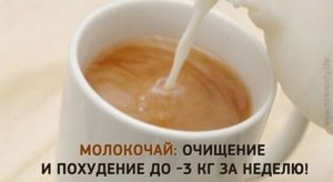 Чем полезна диета на молокочае