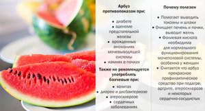 Полезные свойства арбуза