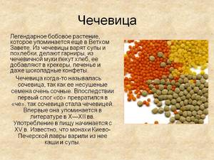 Польза чечевицы
