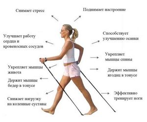 Польза ходьбы для здоровья