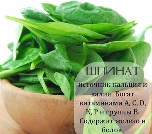 Польза шпината для организма