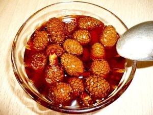 Польза варенья из шишек сосны