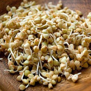 Польза и вред пророщенной гречки