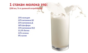 Польза и вред зеленого чая с молоком