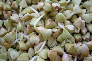Правила приготовления блюд