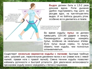 Правила скандинавской ходьбы