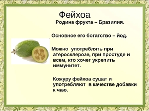 Правила выбора фейхоа