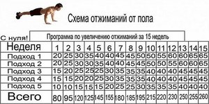 Как правильно отжиматься в домашних условиях