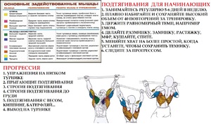 Как правильно подтягиваться