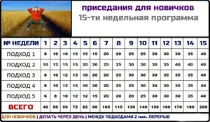 Как правильно приседать девушкам