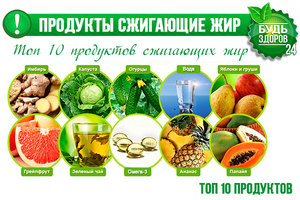 Продукты, сжигающие жир 