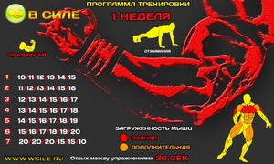 Программа тренировки отжиманий