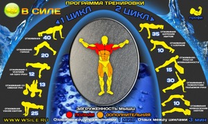 Программа тренировки отжиманий